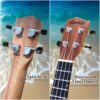 Acouway Ukulele Soprano/Concert Beginner Mahogany 21/23 Inches Ukelele With FREE Accessory Ukulele Kits