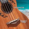 Acouway Ukulele Soprano/Concert Beginner Mahogany 21/23 Inches Ukelele With FREE Accessory Ukulele Kits