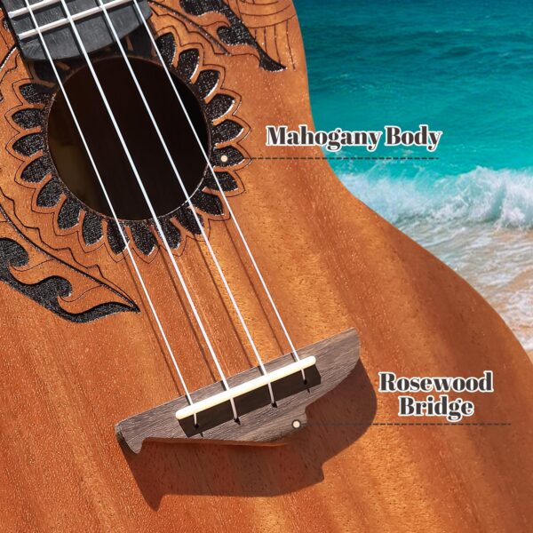 Acouway Ukulele Soprano/Concert Beginner Mahogany 21/23 Inches Ukelele With FREE Accessory Ukulele Kits
