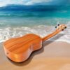 Acouway Ukulele Soprano/Concert Beginner Mahogany 21/23 Inches Ukelele With FREE Accessory Ukulele Kits