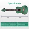 Acouway Concert Ukulele 24 inch Sapele Wood Ukelele small guitar With Free Accessories Birthday Gift