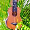 Acouway Ukulele Ukulele 21/24/26 soprano concert tenor Inch Ukulele Sapele body Auqila string with free Accessories and Gigbag, authentic Ukulele, world-class brand.