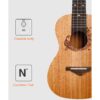 Acouway Ukulele soprano/Concert/tenor Ukelele 21/24/26 mahogany ukulele guitar Japan Carbon strings