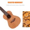 Acouway Ukulele soprano/Concert/tenor Ukelele 21/24/26 mahogany ukulele guitar Japan Carbon strings
