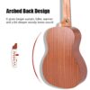 Acouway Ukulele Ukulele 21/24/26 soprano concert tenor Inch Ukulele Sapele body Auqila string with free Accessories and Gigbag, authentic Ukulele, world-class brand.
